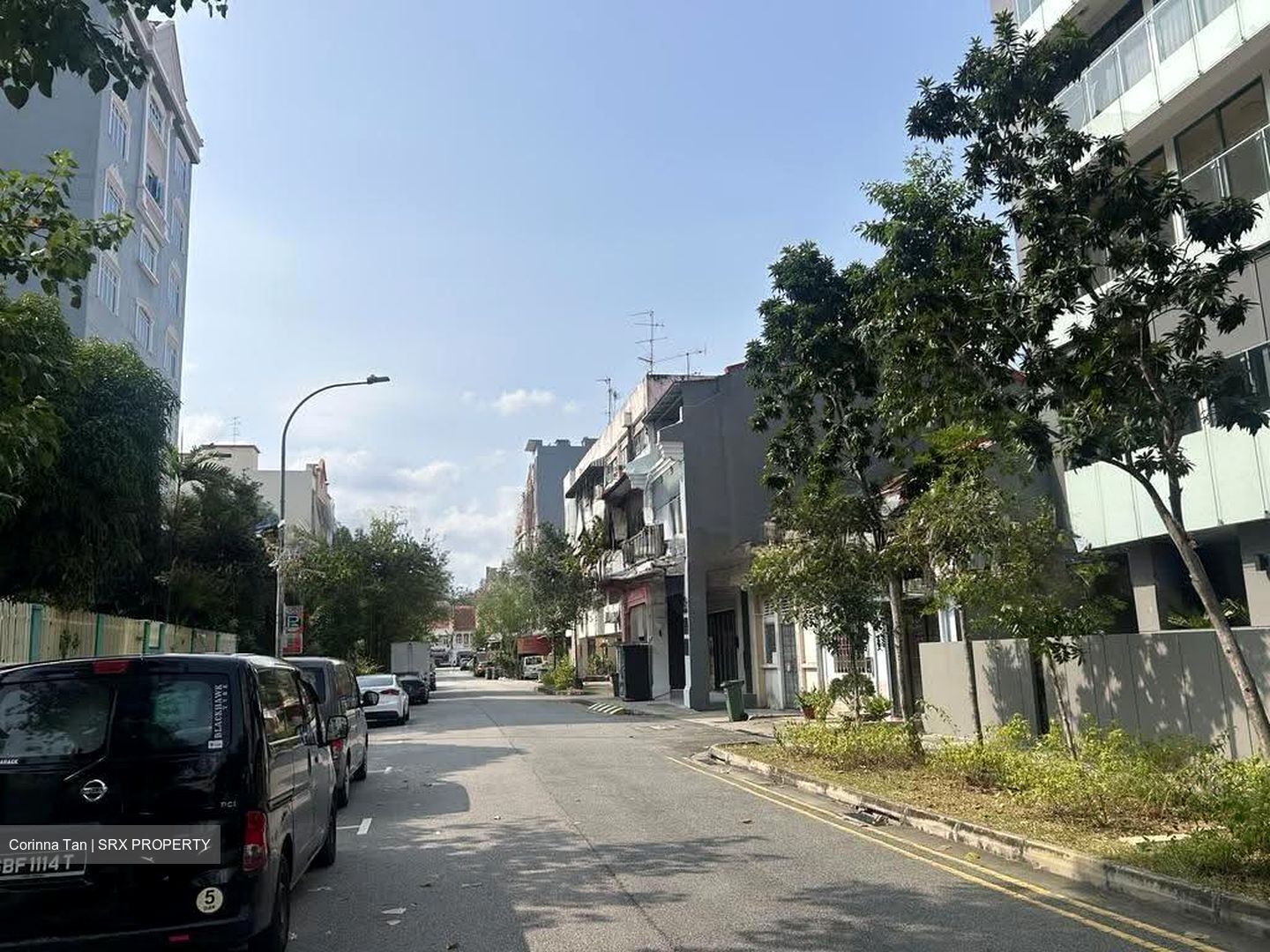 Lorong 34 Geylang (D14), Terrace #611979661